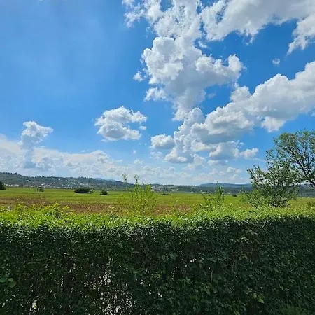 Field Sarajevo
