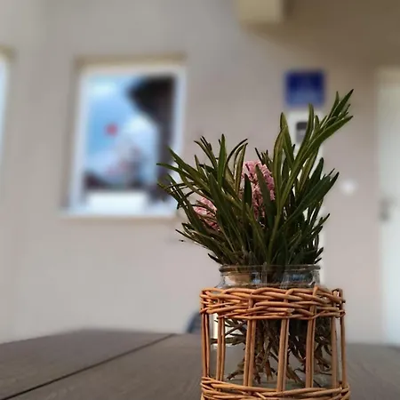 Field Holiday home *